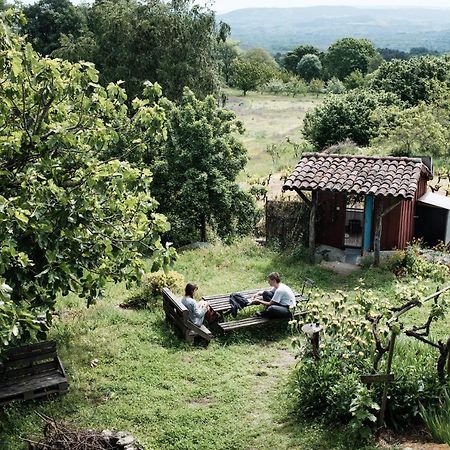 Torre Tanquian Eco Finca - Ribeira Sacra Panton Luaran gambar