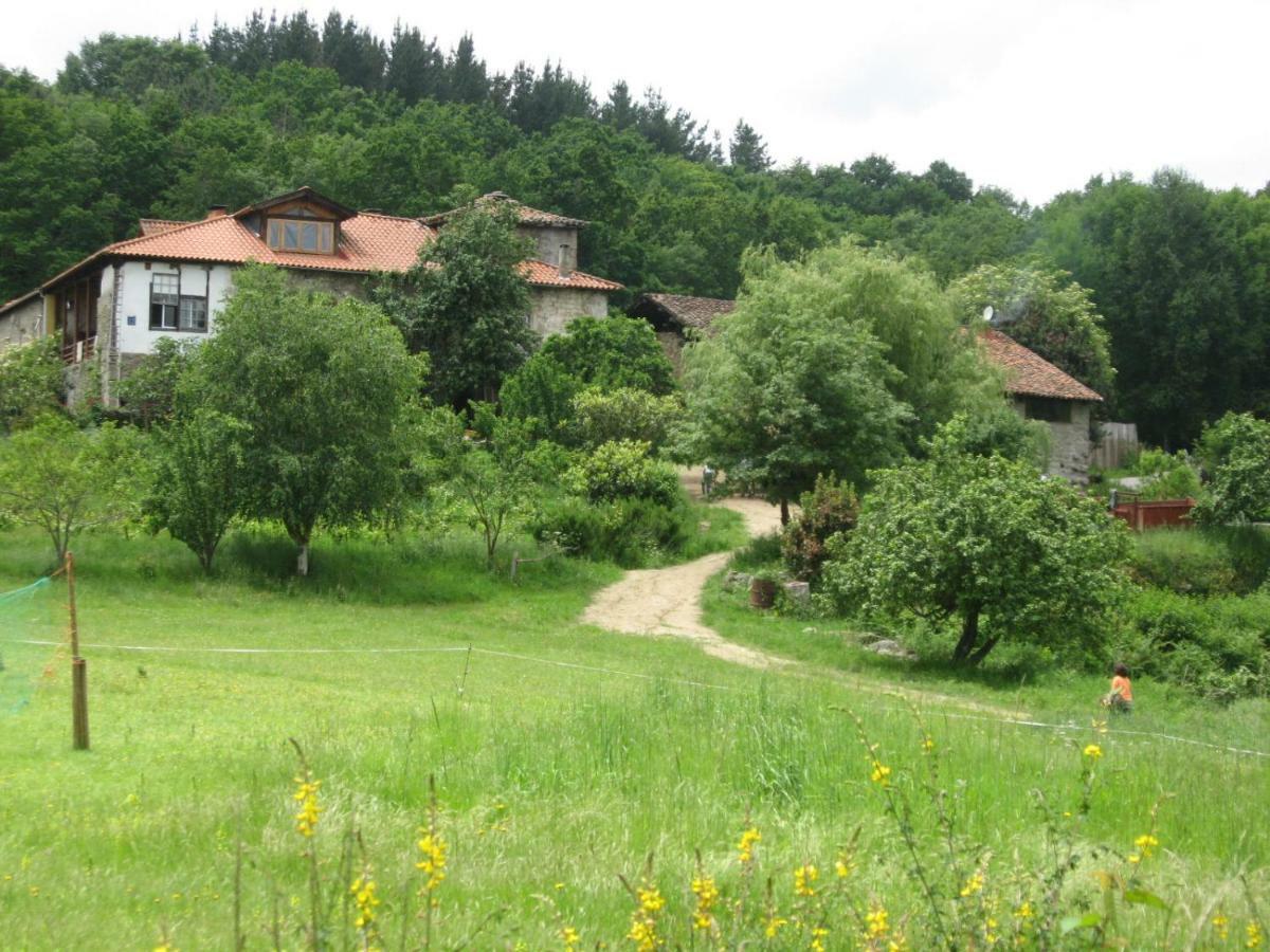 Torre Tanquian Eco Finca - Ribeira Sacra Panton Luaran gambar