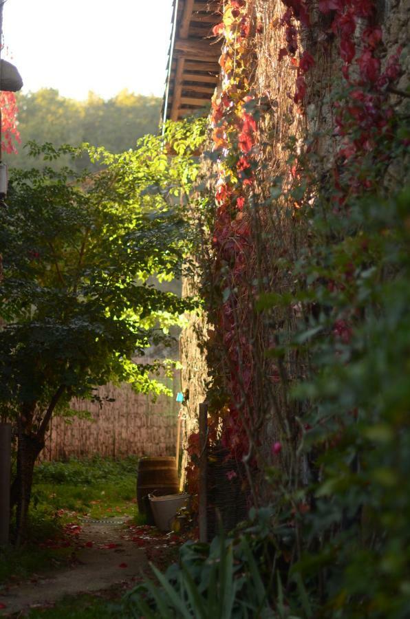 Torre Tanquian Eco Finca - Ribeira Sacra Panton Luaran gambar